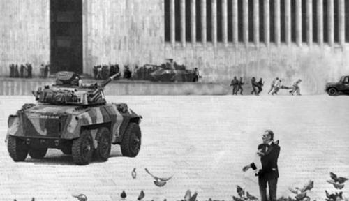 tank and pigeons