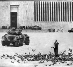 tank and pigeons